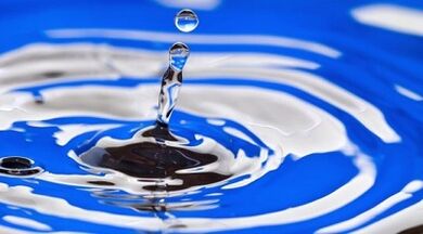 bản chất của chế độ ăn uống để giảm cân