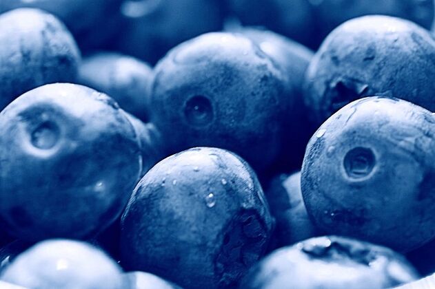 quả việt quất cho chế độ ăn ketogenic